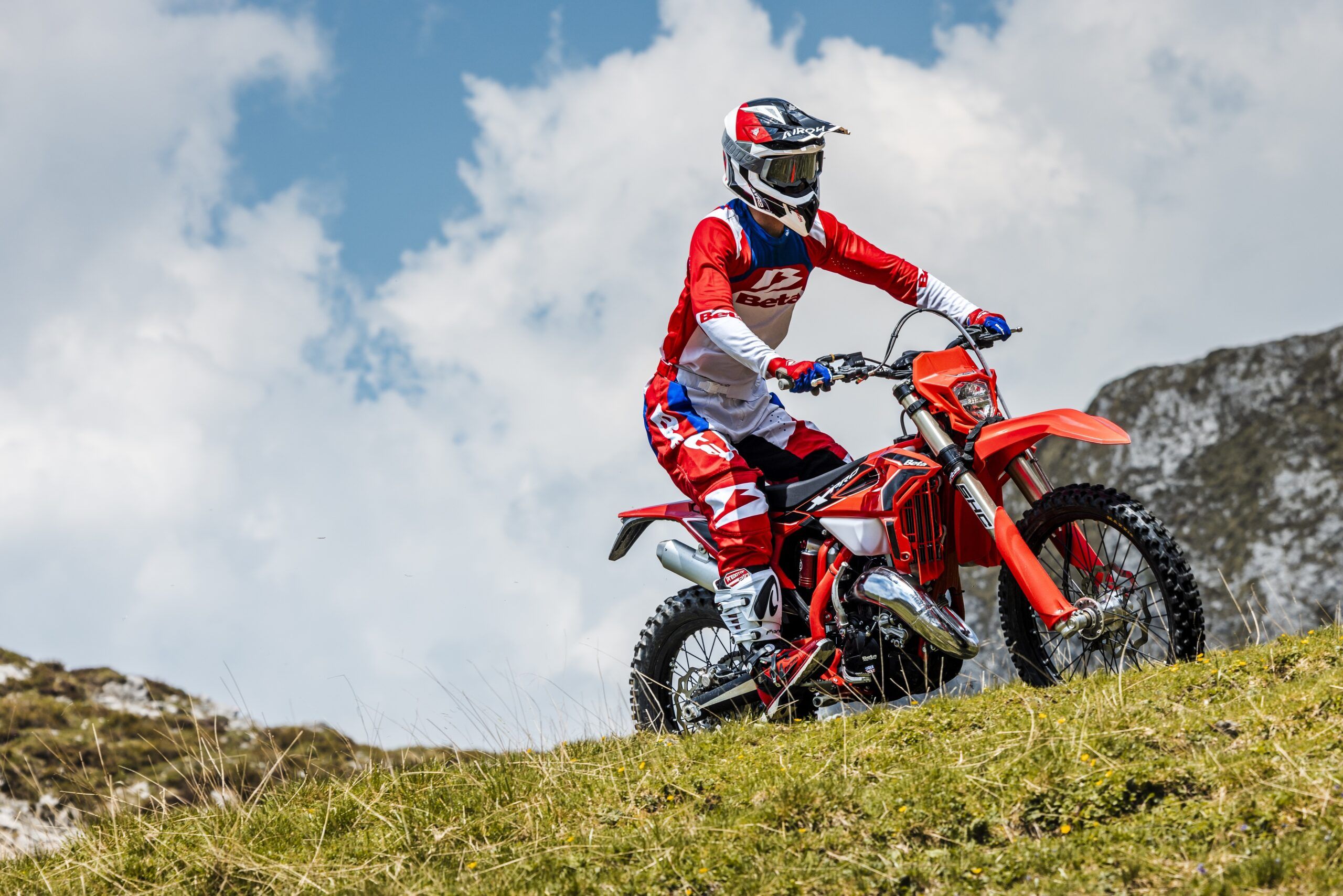 Beta dealer nederland